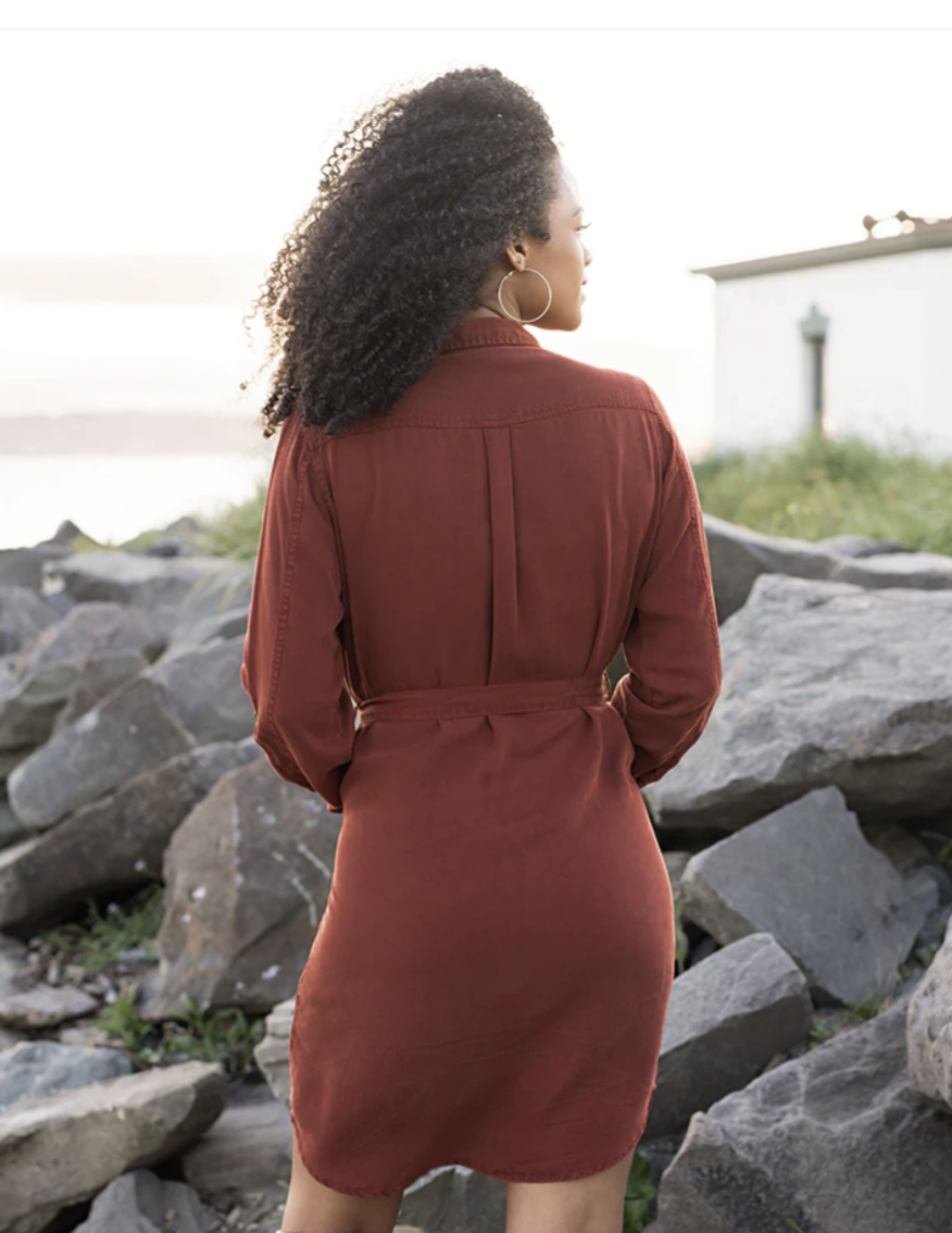 Tencel™ Lyocell Utility Dress in Auburn 6