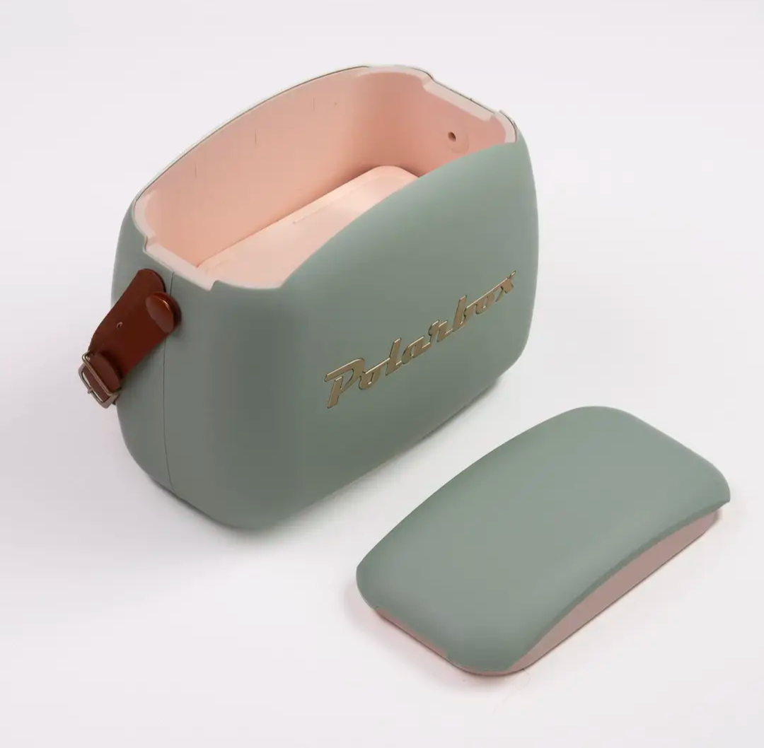 Mini Cooler Bag - Matcha Gold Open