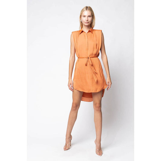 Sleeveless Collared Mini Shirt Dress