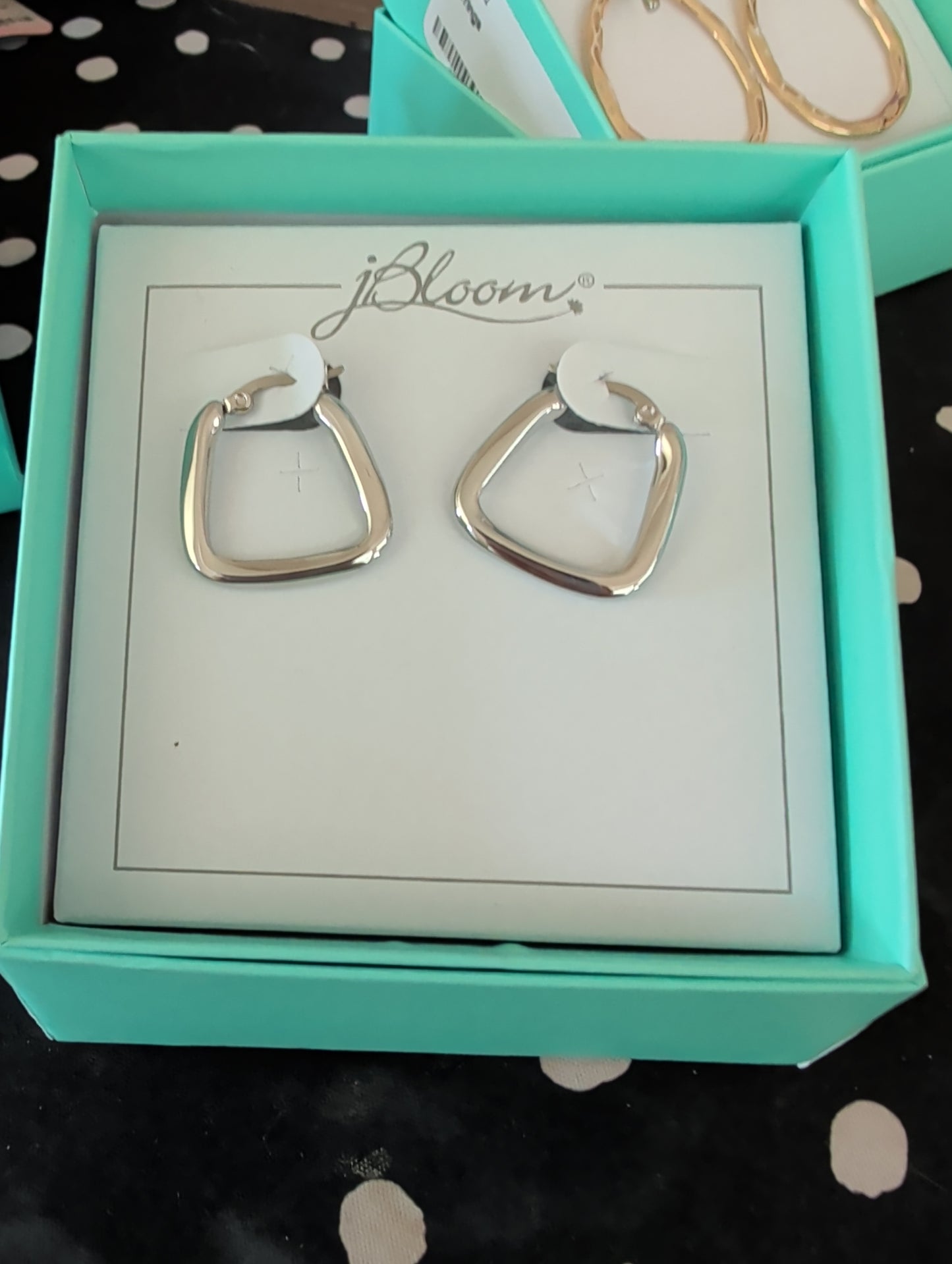 Kendall Hoop Earrings